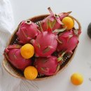 백용농장 이미지