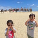 시드니스포츠 이미지