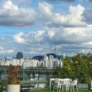 여의도동  1-877(국회정문2 앞 인도) | 서울 한강뷰 카페 강변서재 여의도 국회의사당 카페 주차정보