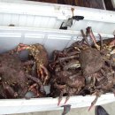 바하캘리포니아 이미지