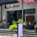 라라테라피 | 호치민 7군 푸미흥 마사지 라라마사지 에너지 테라피 후기