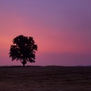 안서목장 이미지