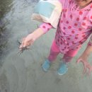 상주식당 | 세부 막탄 악동클라스 수영장과 바다 물놀이식당 데이유즈 후기 꾸야상주