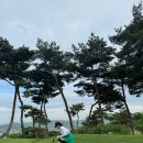 베스타 | 비에이비스타cc 2번째방문 호박 - 보나 라운딩후기 - 3번째 방문은 업다!!