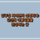 와이앤티 | 압구정 와이앤티 성형외과: 당신의 아름다움을 완성하는 곳