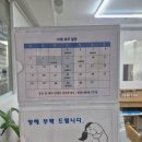 부산애견 | 부산 해운대 애견 미용 무아몽, 포메 가위컷 후기