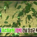 남창골농원 이미지