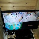 숲속마을어린이집 이미지