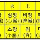 오장육부 이미지