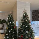 일루아호텔 | [부산 여행] 해운대 오션뷰 가성비 숙소 호텔 일루아, 해운대 맛집 생 어거스틴 내돈내산 후기