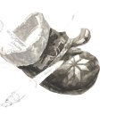 대상디앤에이 이미지