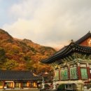 용문사