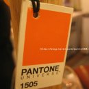 accompany(어컴퍼니) 이미지