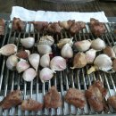 또와양꼬치