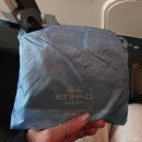 823 | 에티하드 항공 EY823 EY177 아부다비 경유 후기