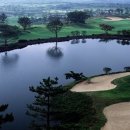 에버리스CC 이미지