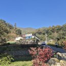 메밀꽃체육관 이미지