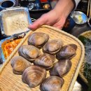 92 | 오이도 애견 동반 가능 식당 조개92 내돈내산 후기