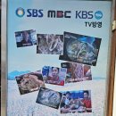 모·닭·불 이미지