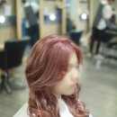 상남동262 이미지