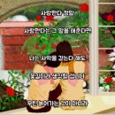 바램 이미지