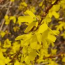 나무유통 이미지