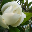 청통농장 이미지