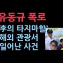 유동규 폭로 이재명의 세금 여행...호주 뉴질랜드 관광 명목은 '지상 전철 탐방' 성창경TV﻿ 이미지