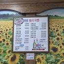 월영동241 이미지