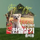 카페봄봄한림점 | 강아지와 제주 한달살기 총 비용 | 실제 지출액 공개(애견동반 2인 기준)