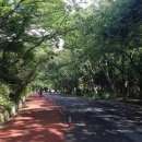 두류신시장 이미지