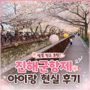 정오교통(주) | 진해군항제 벚꽃 후기, 아이랑 다녀온 여좌천 로망스다리 현실 후기