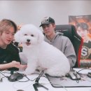 오비비