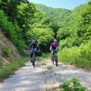 장수읍 싸리재로 이미지