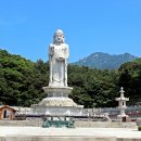 여래로 이미지