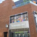 압구정 도산 쇼핑 추천 BAPE 베이프, SATUR 세터 봄 신상 후기
