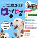 2018 속초시 반려견 문화축제 - 모여라 멍멍!! 이미지