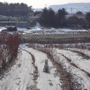 인서농장 이미지