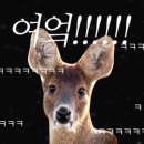 천안축산물도소매센터