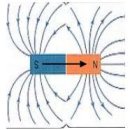 마리조아 이미지