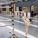 한국체대 석사 청산관 합기도 | 제 183회 정기습급심사대회 결과