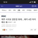 제주 서귀포 양돈장 화재…돼지 4천 마리 폐사 이미지