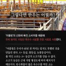 형제축산 이미지