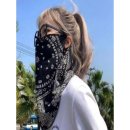 헤이즐리 이미지