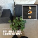 광주LPG충전소 | 광주 소금빵 맛집 쉐어링 | 광주 소태동 애견동반 카페 추천 후기