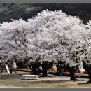 내산초등학교 이미지