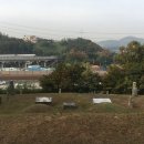 유석선생묘 및 신도비 이미지