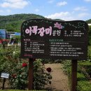 성곡초등학교 | 2026 대구 이곡장미축제 일정 장미꽃 FEEL 무렵 축하 공연 입장료 무료 주차