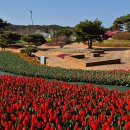 코리아파크 이미지