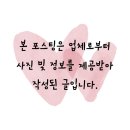 티.디.에스 | 강남판금도색 에스디테일 도요타 라브4 맡겼다가 단골 됐어요